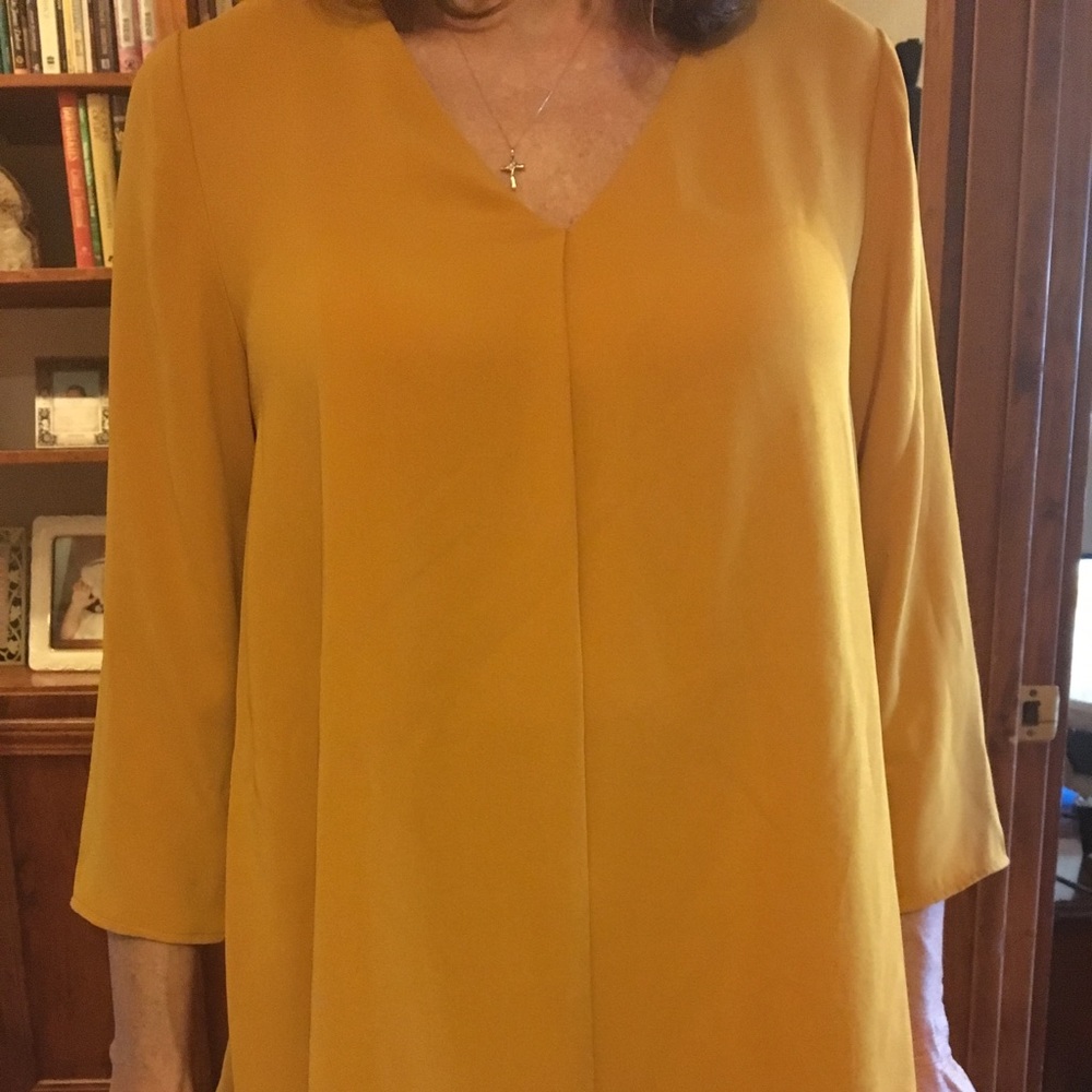 Tunic - Picture 3 of 3